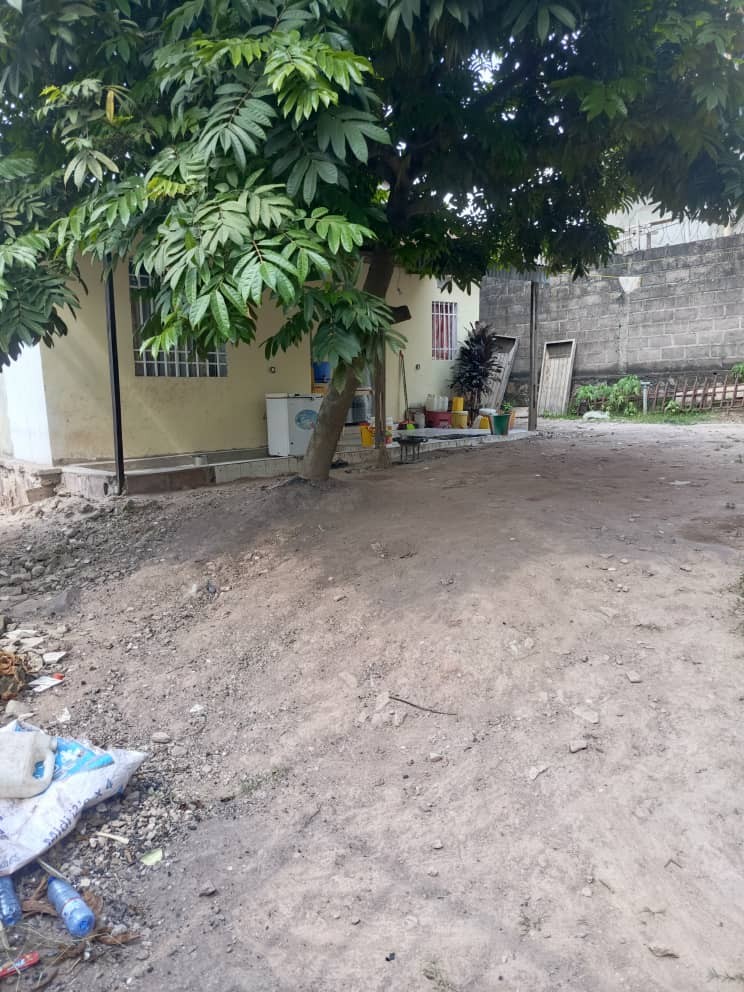 scaled_1005281318 Parcelle-Terrain à Vendre – Mbudi, Kinshasa