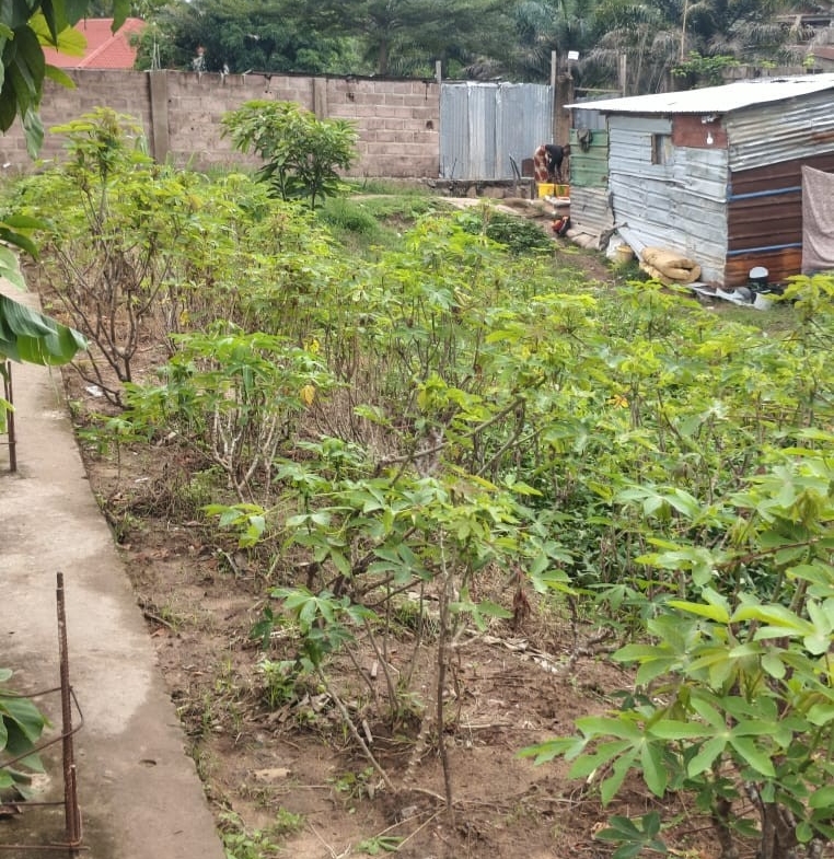 Parcelle-Terrain à Vendre – Mont-Ngafula, Kinshasa