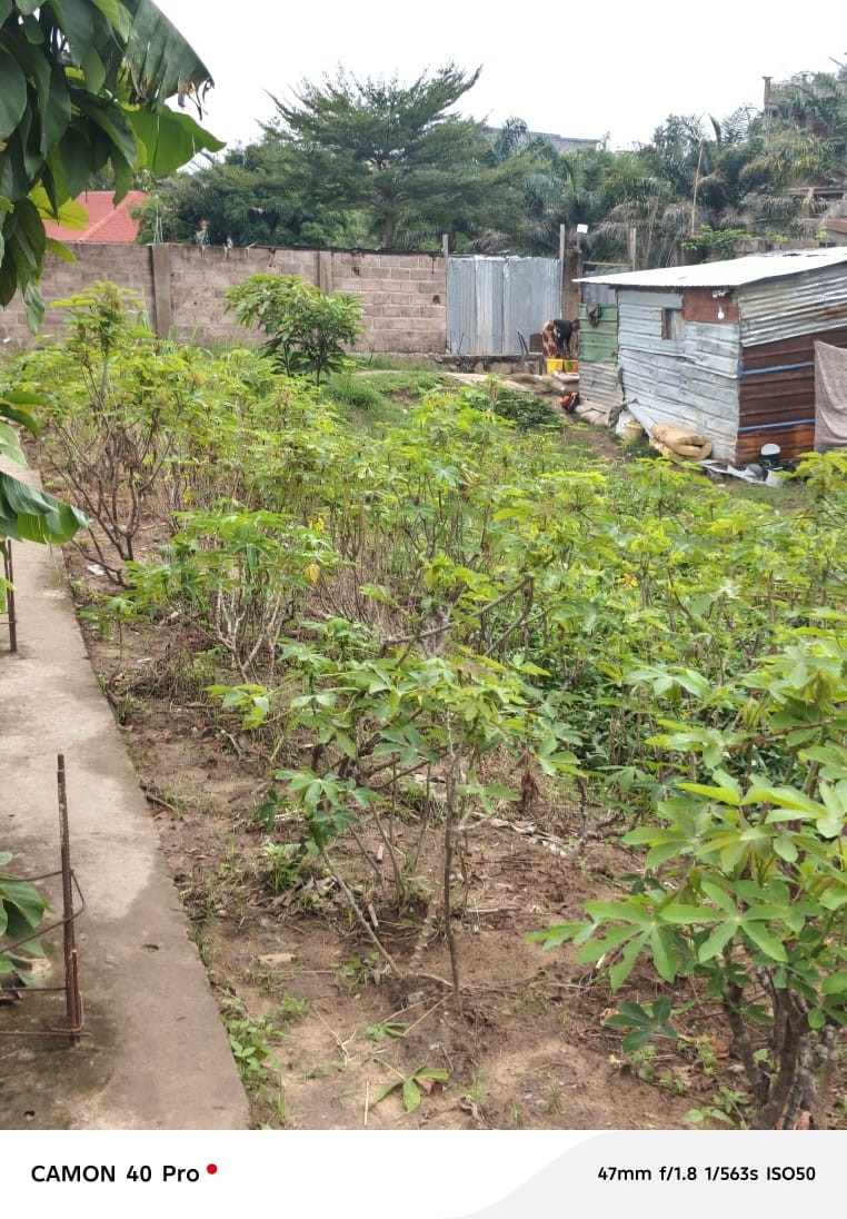 Parcelle-Terrain à Vendre – Mont-Ngafula, Kinshasa