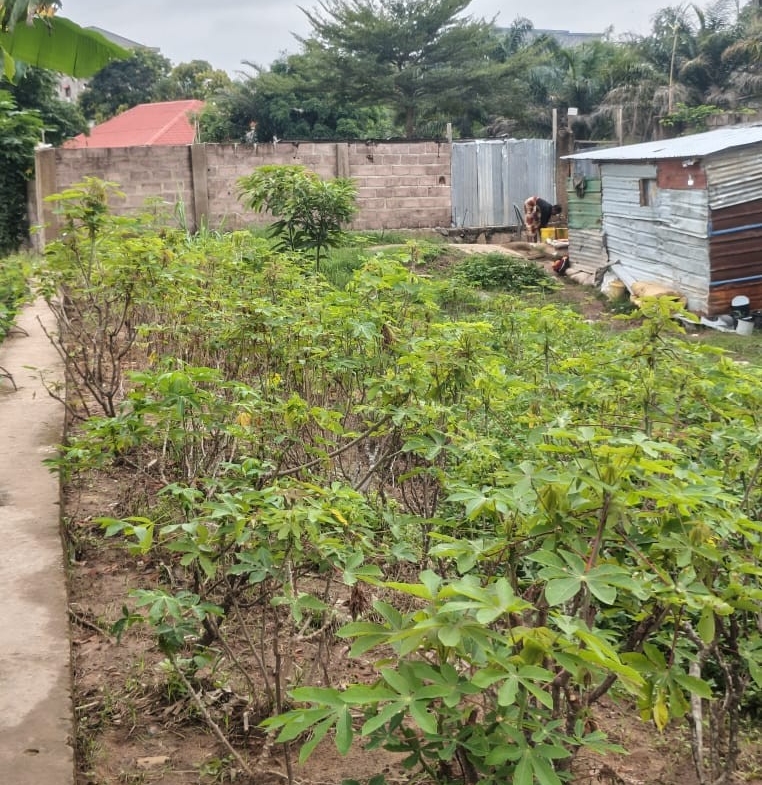 Parcelle-Terrain à Vendre – Mont-Ngafula, Kinshasa