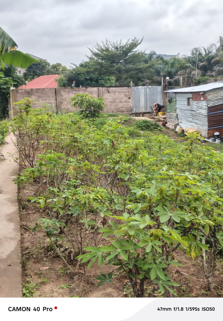 Parcelle-Terrain à Vendre – Mont-Ngafula, Kinshasa