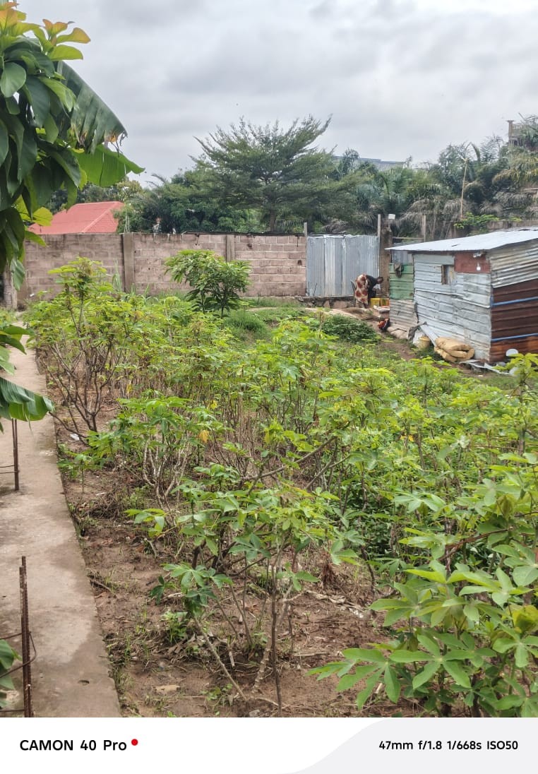 Parcelle-Terrain à Vendre – Mont-Ngafula, Kinshasa