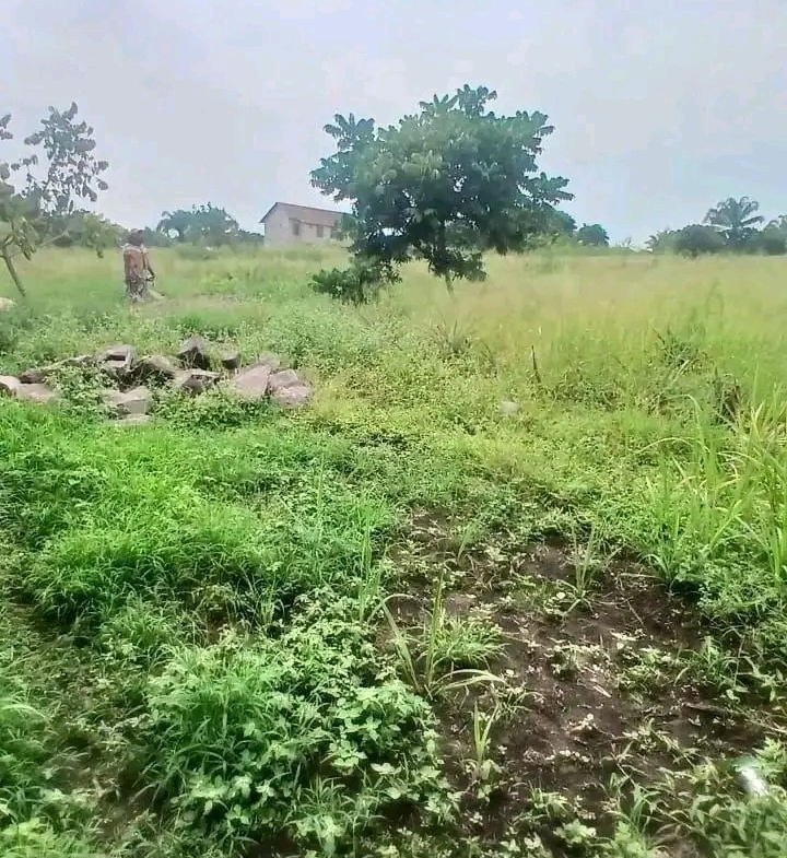Parcelle-Terrain à Vendre – Mont-Ngafula, Kinshasa