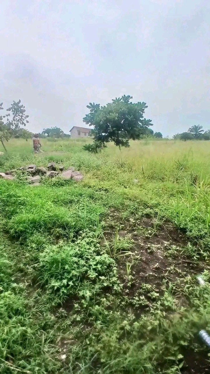 scaled_1005295117 Parcelle-Terrain à Vendre – Mont-Ngafula, Kinshasa