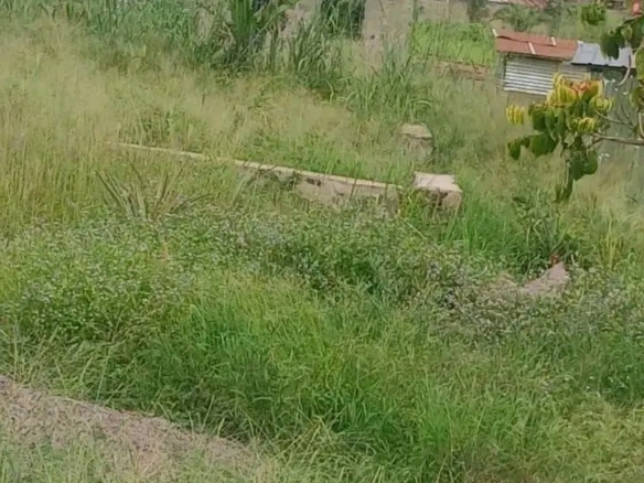 Parcelle-terrain à vendre – mont-ngafula, kinshasa