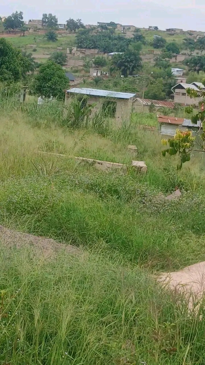 scaled_1005295118 Parcelle-Terrain à Vendre – Mont-Ngafula, Kinshasa