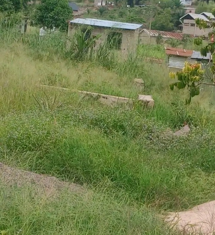 Parcelle-Terrain à Vendre – Mont-Ngafula, Kinshasa