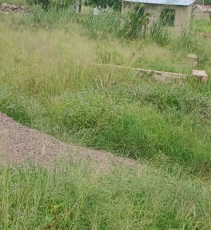 Parcelle-Terrain à Vendre – Mont-Ngafula, Kinshasa