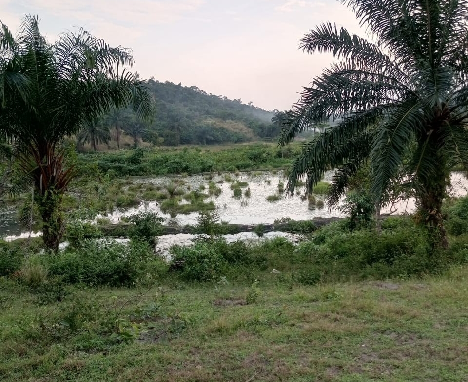 Ferme-Concession à Vendre – N’Sele, Kinshasa