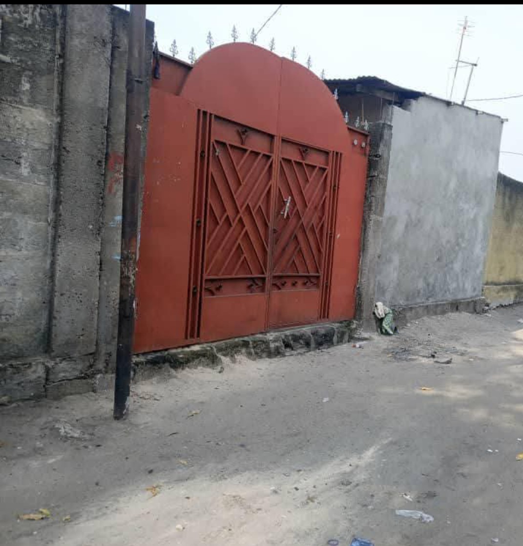 scaled_1007402847 Parcelle-Terrain à Vendre – N’Sele, Kinshasa