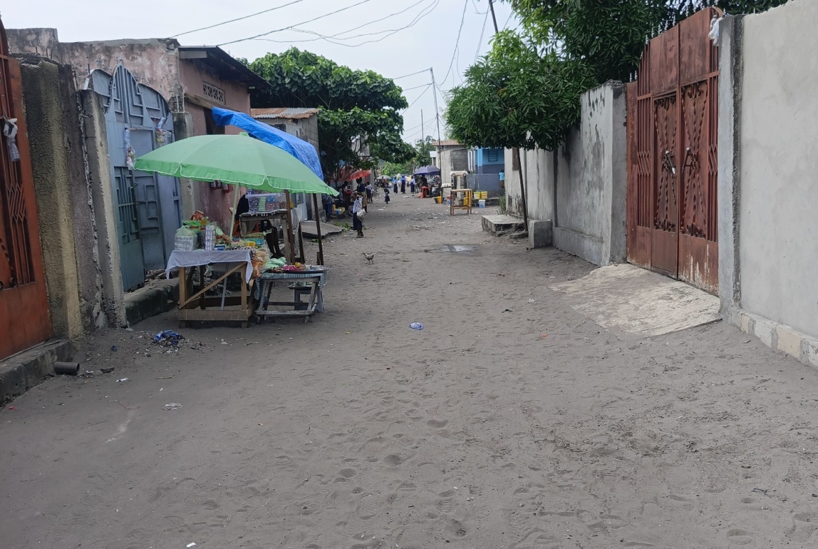 Parcelle-Terrain à Vendre – N’Sele, Kinshasa