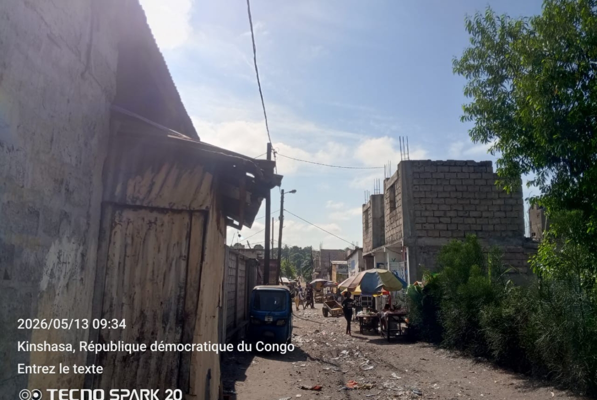 Parcelle-Terrain à Vendre – N’Sele, Kinshasa