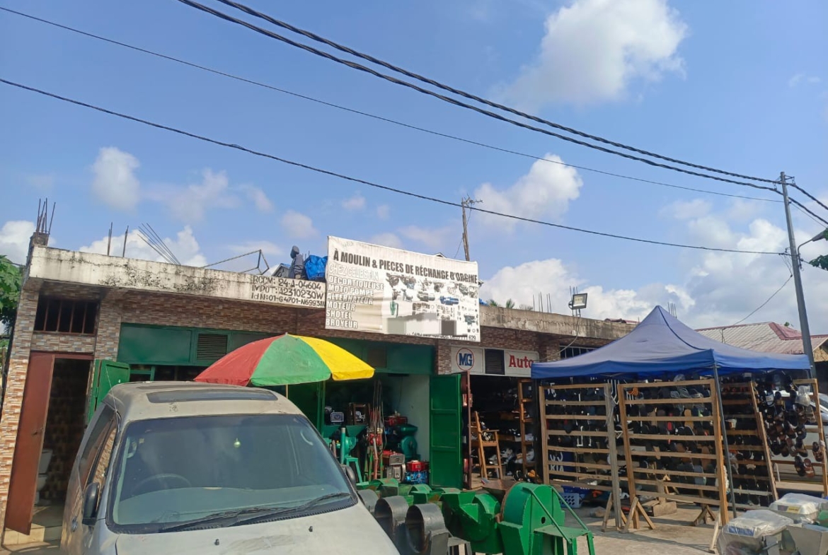 Parcelle-Terrain à Vendre – N’Sele, Kinshasa