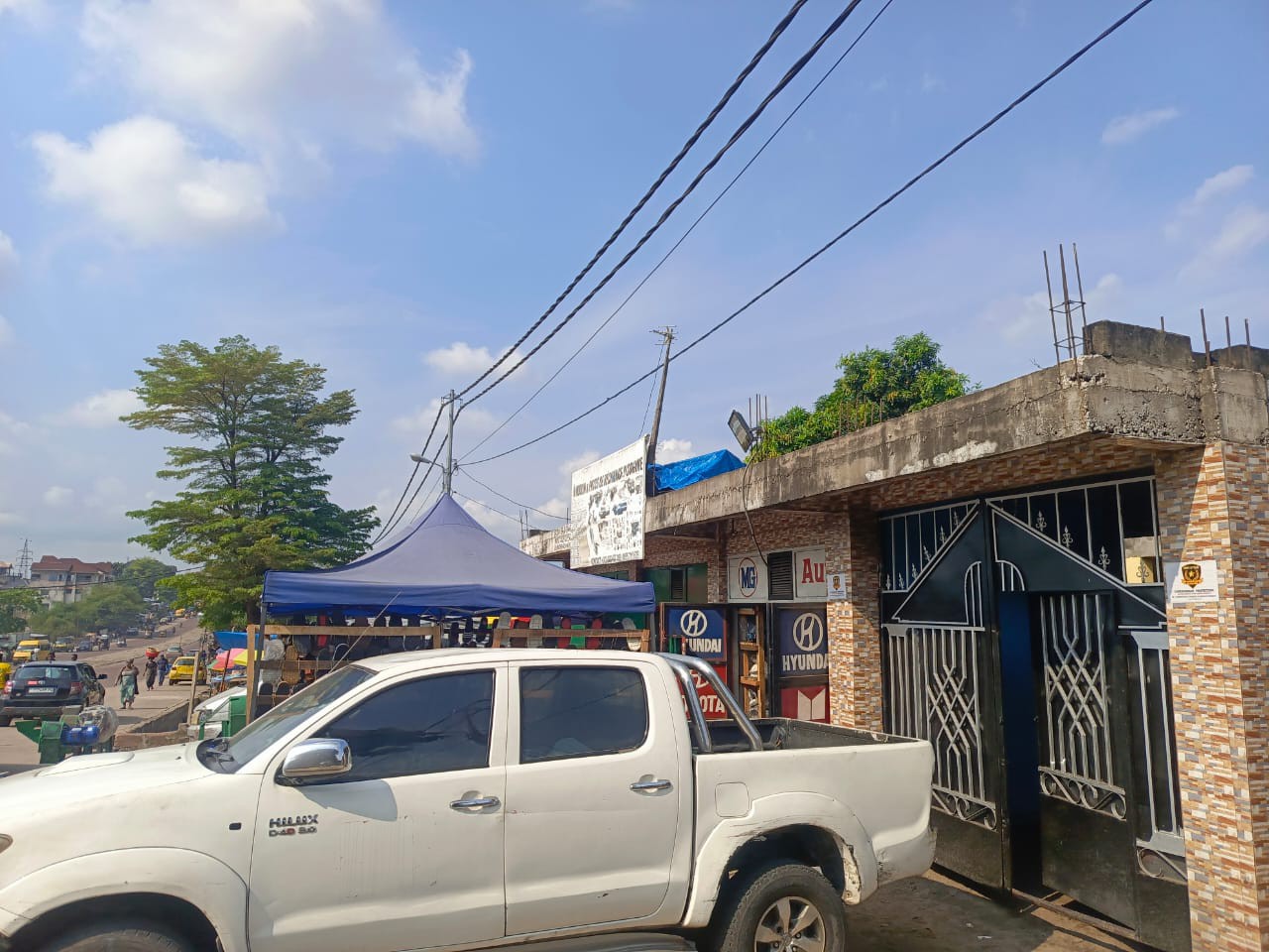 scaled_1007451746 Parcelle-Terrain à Vendre – N’Sele, Kinshasa
