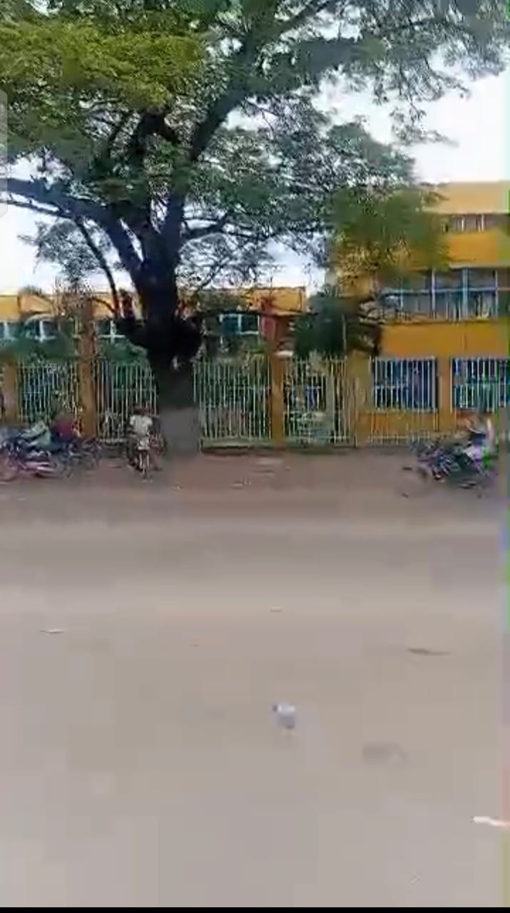 Scaled 1007465578