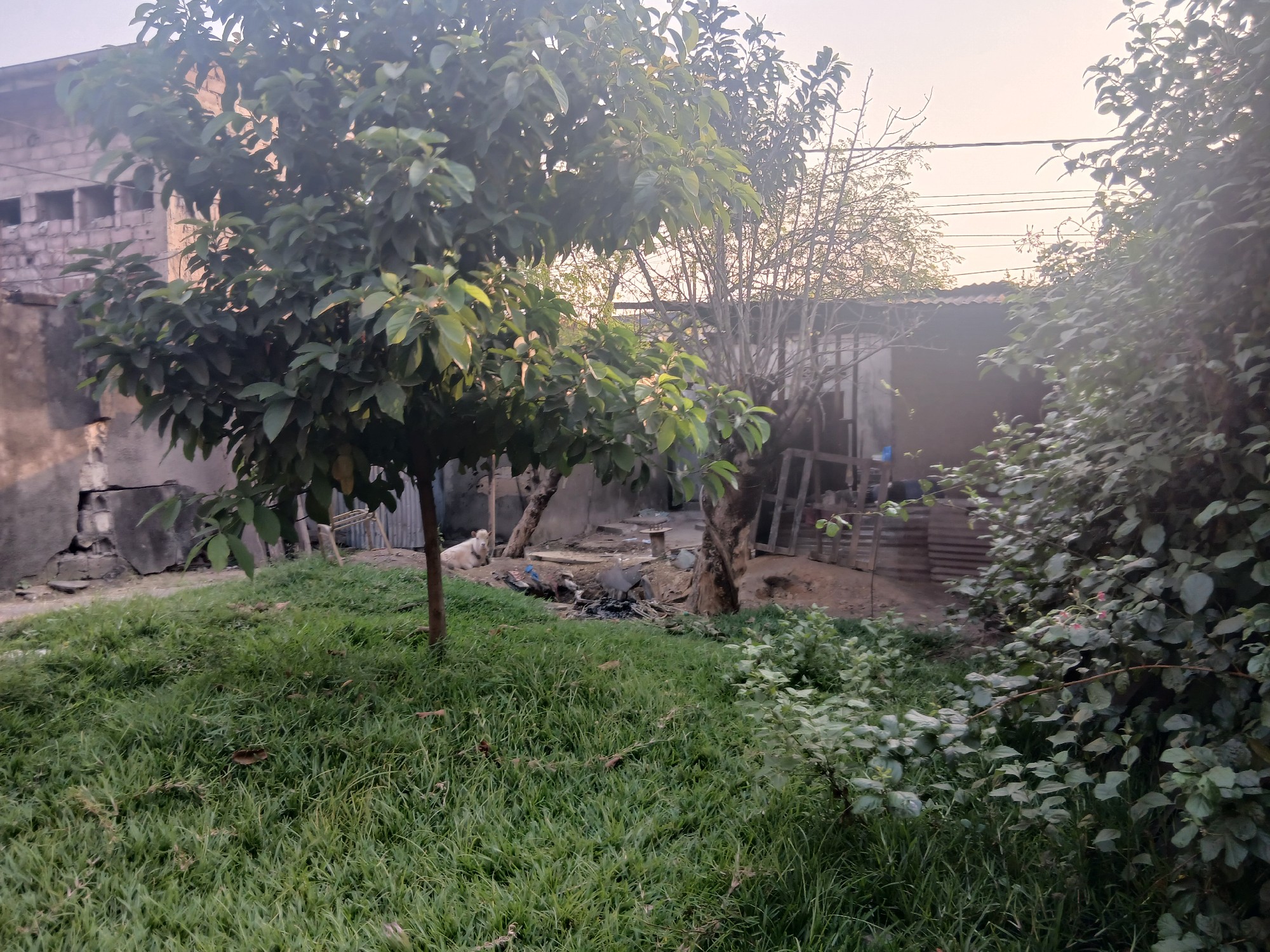 Parcelle-Terrain à Vendre – Ngaliema, Kinshasa