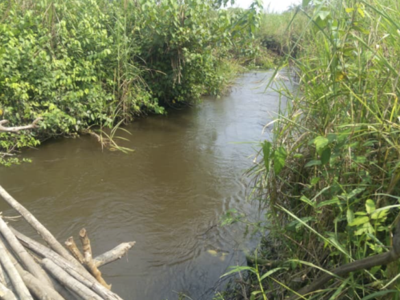 Parcelle-terrain à vendre – kisantu, kongo central
