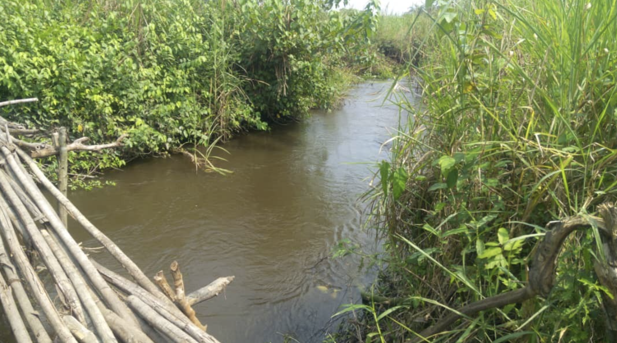 Parcelle-Terrain à Vendre – Kisantu, Kongo Central