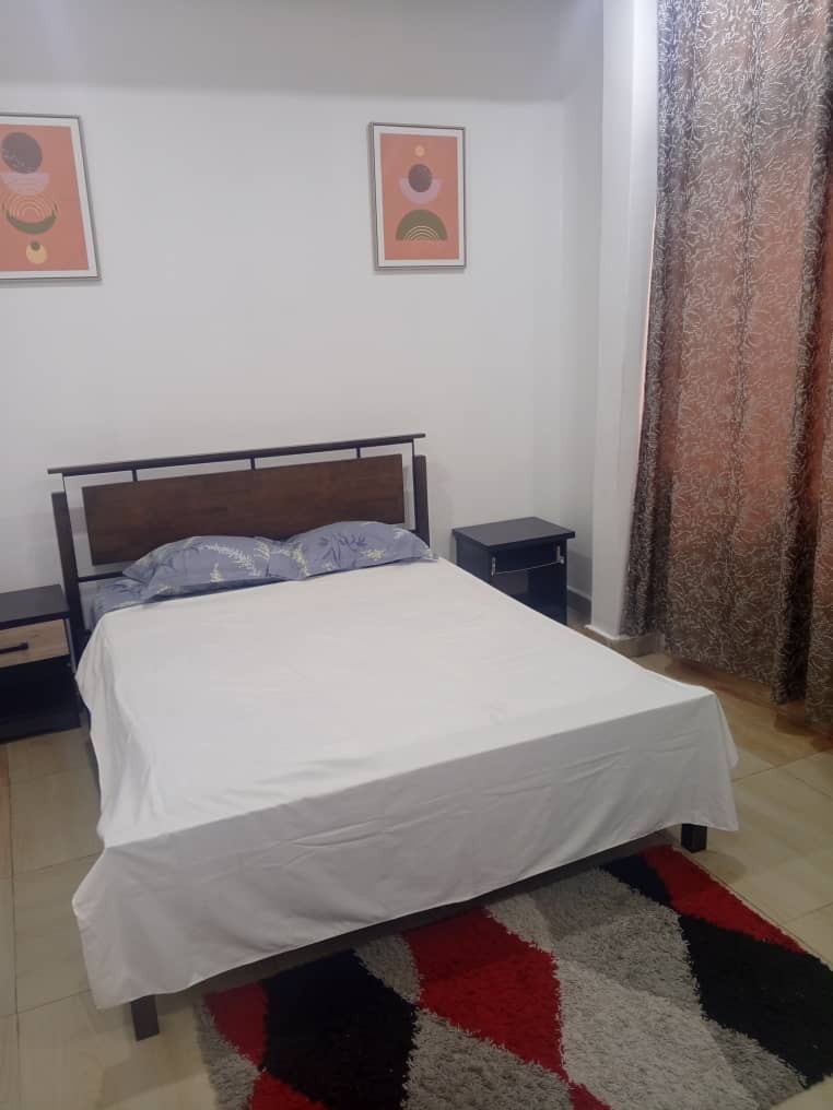 scaled_1001874379 Appartement Meublé à Louer – Ngaliema, Kinshasa