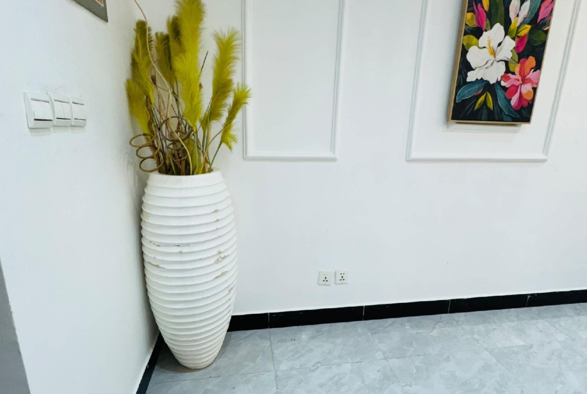 Appartement Meublé à Louer – Gombe, Kinshasa