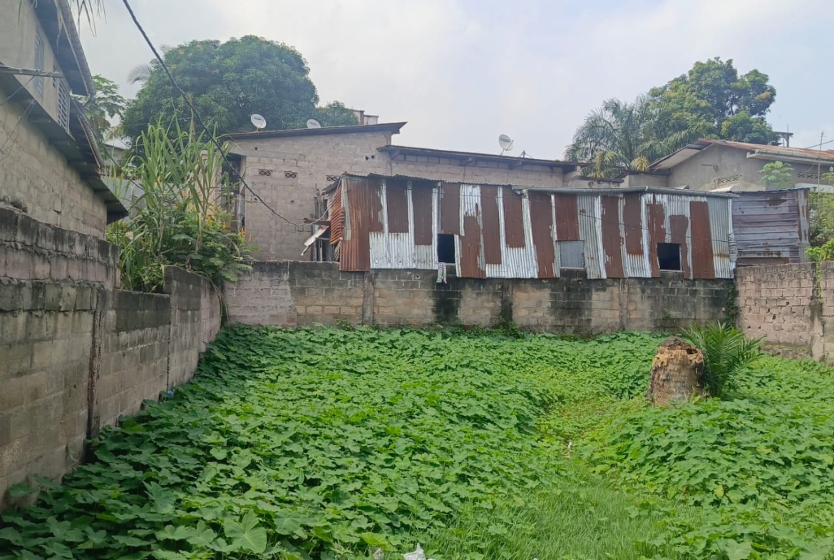 Parcelle-Terrain à Vendre – Ngaliema, Kinshasa