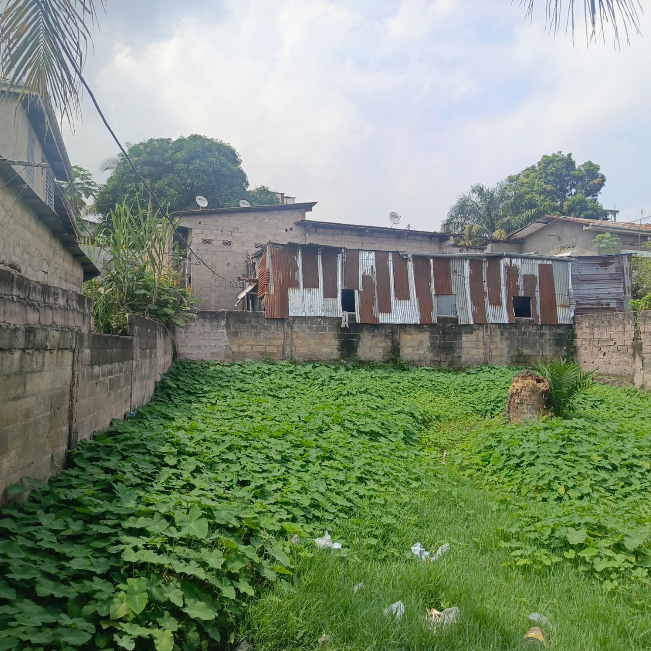 scaled_1005446709 Parcelle-Terrain à Vendre – Ngaliema, Kinshasa