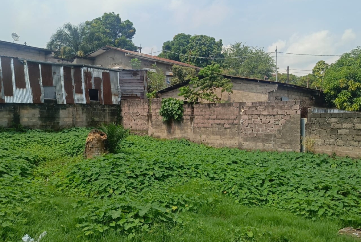 Parcelle-Terrain à Vendre – Ngaliema, Kinshasa