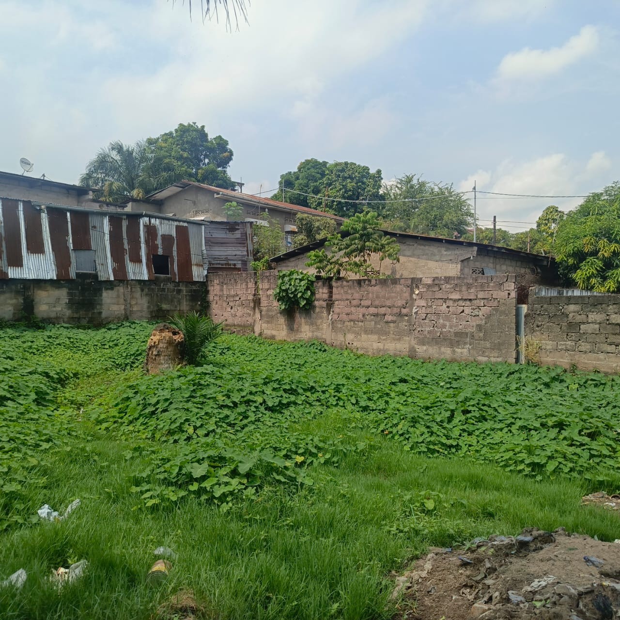 scaled_1005446713 Parcelle-Terrain à Vendre – Ngaliema, Kinshasa