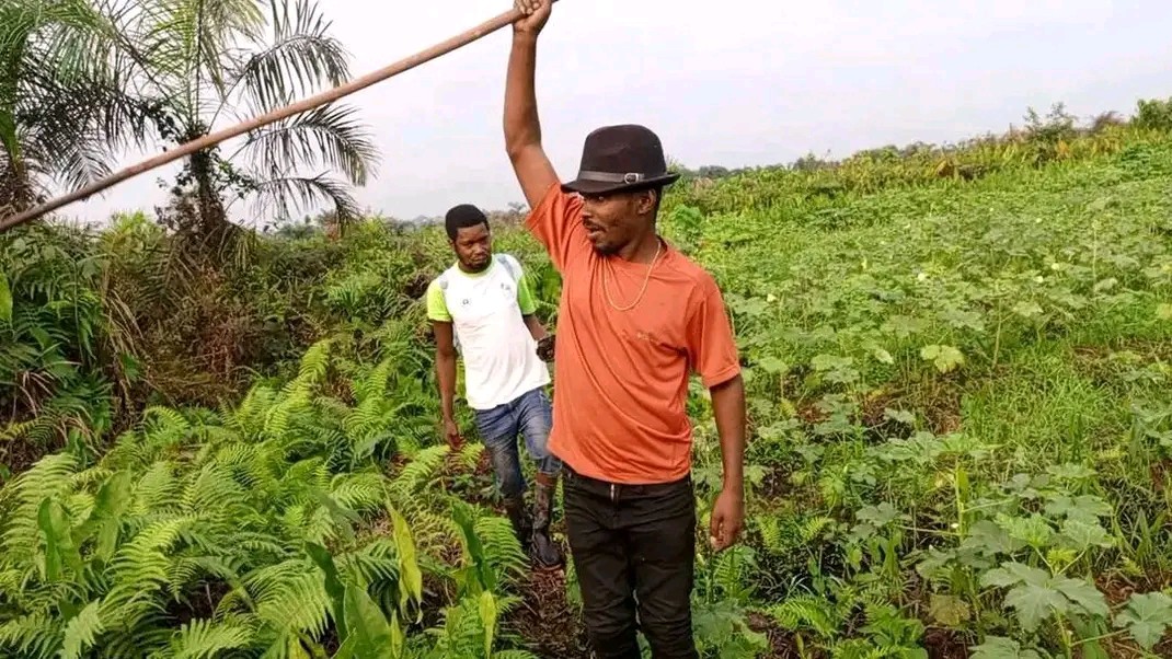 Parcelle-Terrain à Vendre – N’Sele, Kinshasa