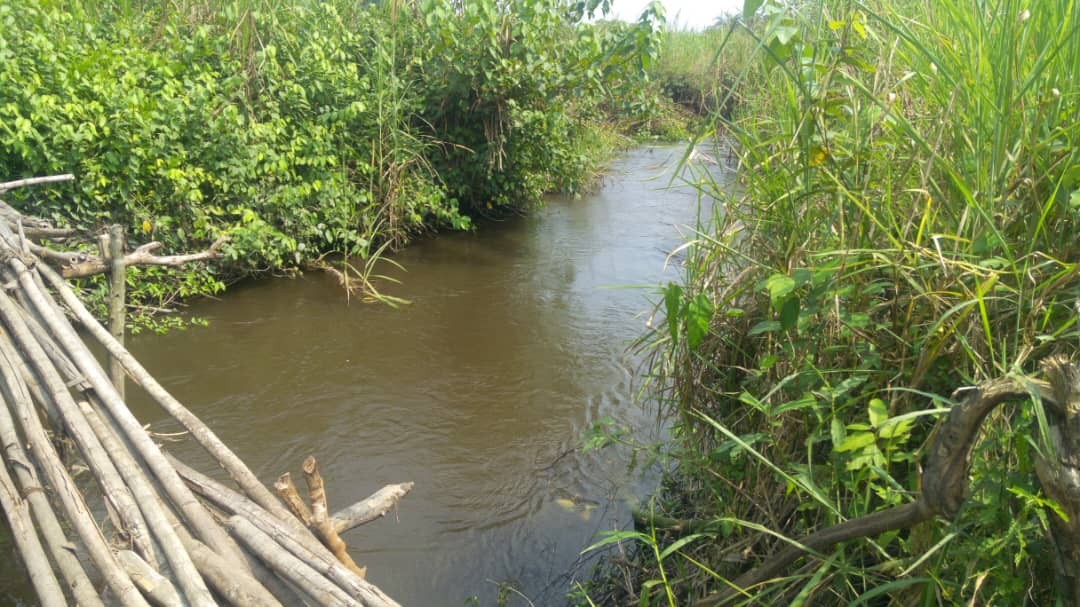 Parcelle-Terrain à Vendre – Kisantu, Kongo Central