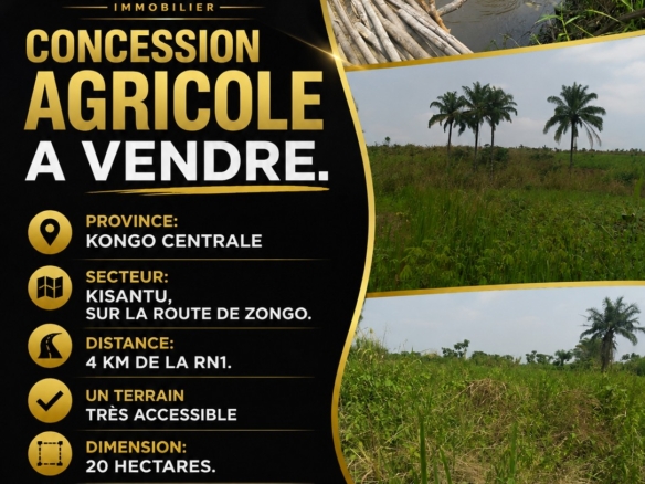 Parcelle-terrain à vendre – kisantu, kongo central