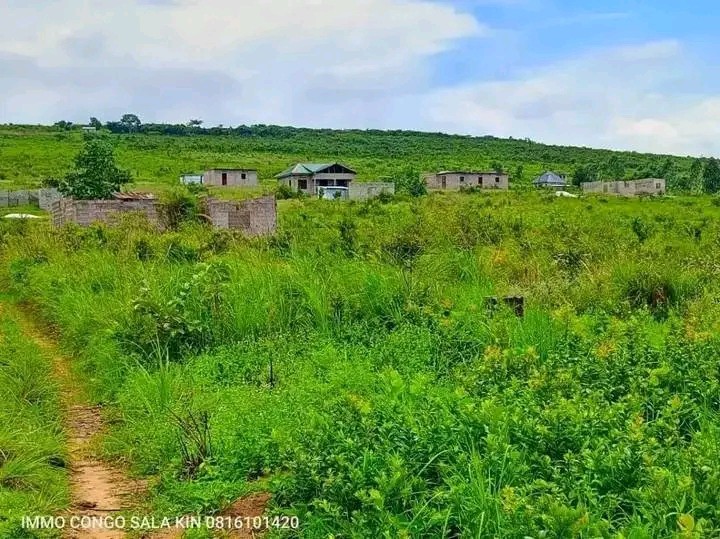 Parcelle-Terrain à Vendre – N’Sele, Kinshasa