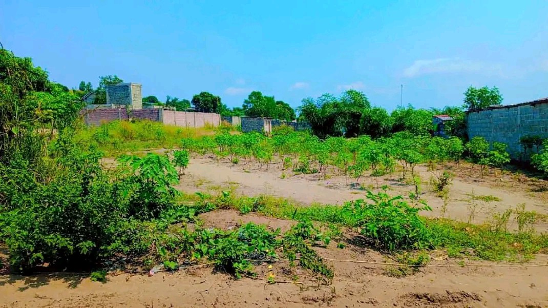 Parcelle-Terrain à Vendre – N’Sele, Kinshasa