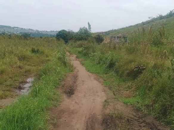 Parcelle-terrain à vendre – n’sele, kinshasa