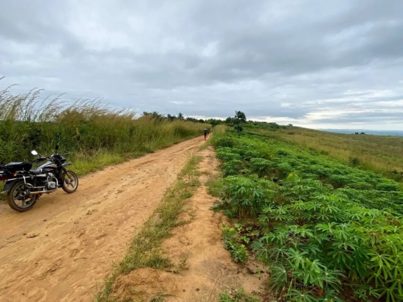 Parcelle-terrain à vendre – mbanza-ngungu, kongo central