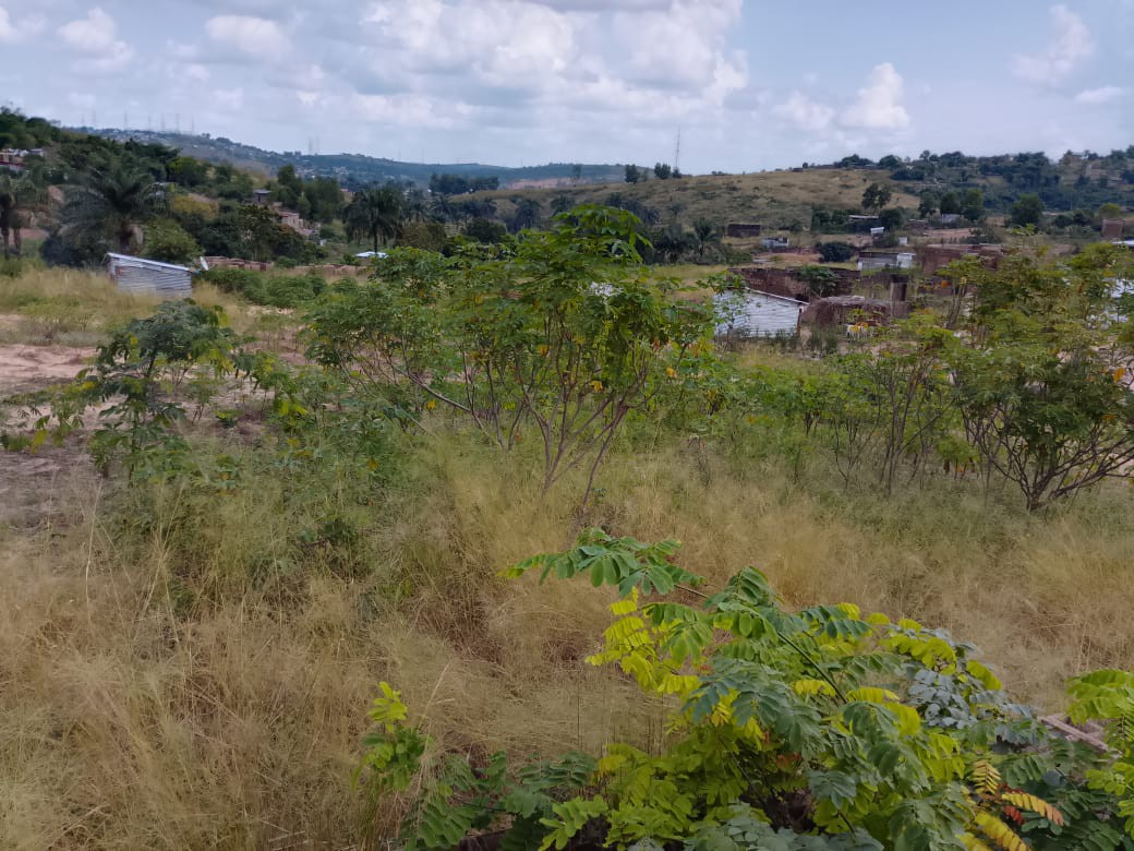 Parcelle-Terrain à Vendre – N’Sele, Kinshasa