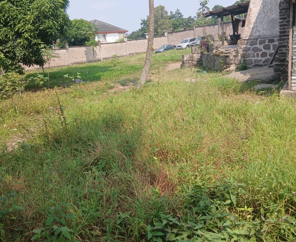 Parcelle-Terrain à Vendre – Ngaliema, Kinshasa