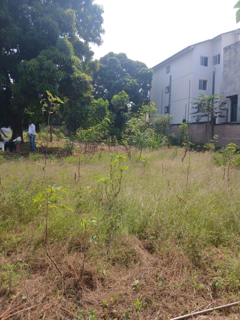 scaled_1006515151 Parcelle-Terrain à Vendre – Ngaliema, Kinshasa