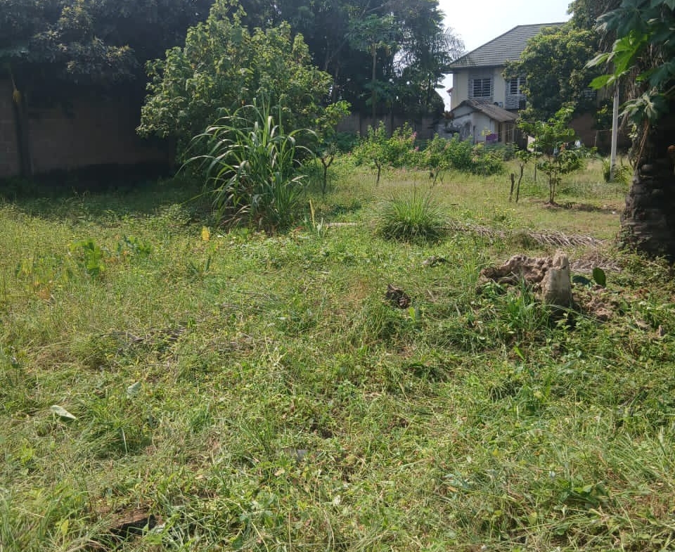 Parcelle-Terrain à Vendre – Ngaliema, Kinshasa