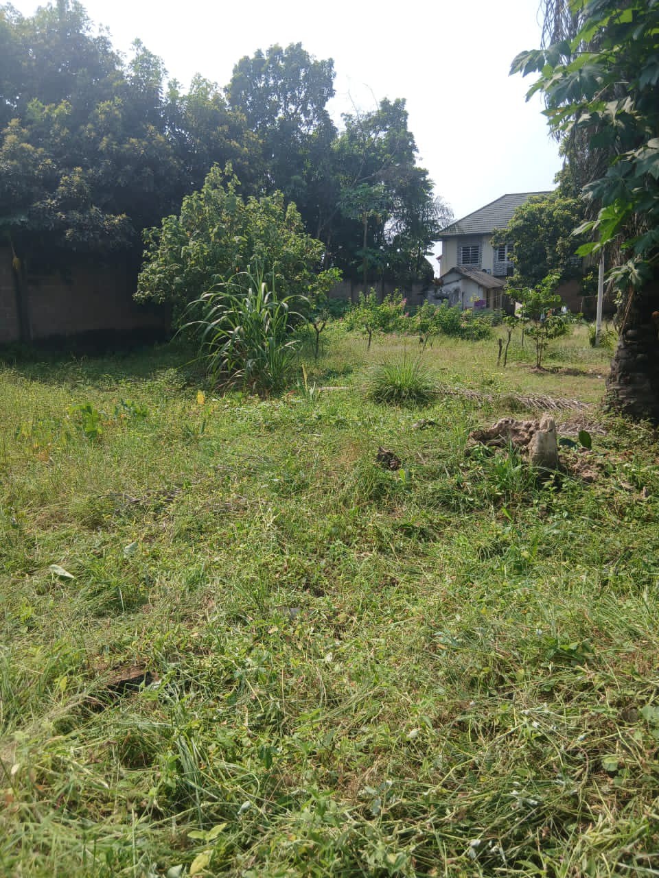 scaled_1006515152 Parcelle-Terrain à Vendre – Ngaliema, Kinshasa