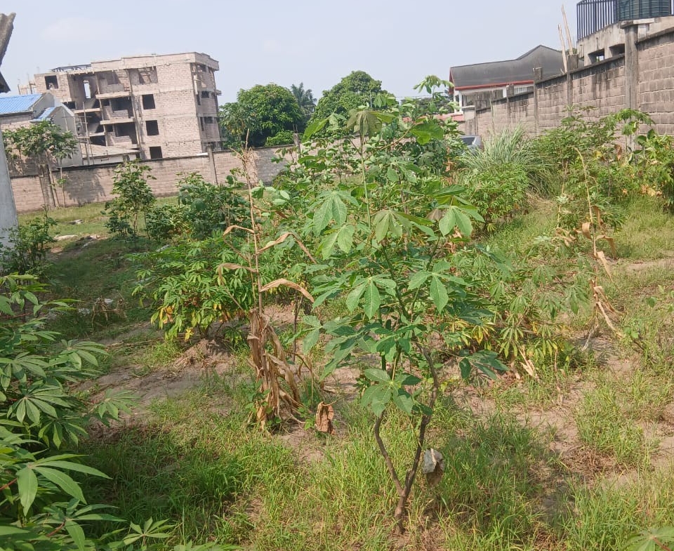 Parcelle-Terrain à Vendre – Ngaliema, Kinshasa