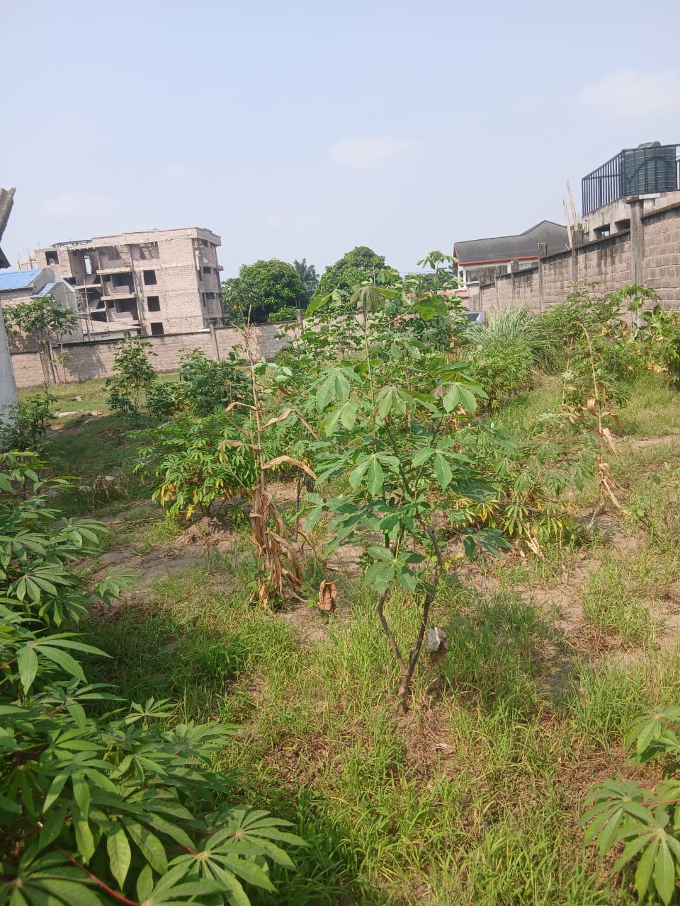 scaled_1006515157 Parcelle-Terrain à Vendre – Ngaliema, Kinshasa