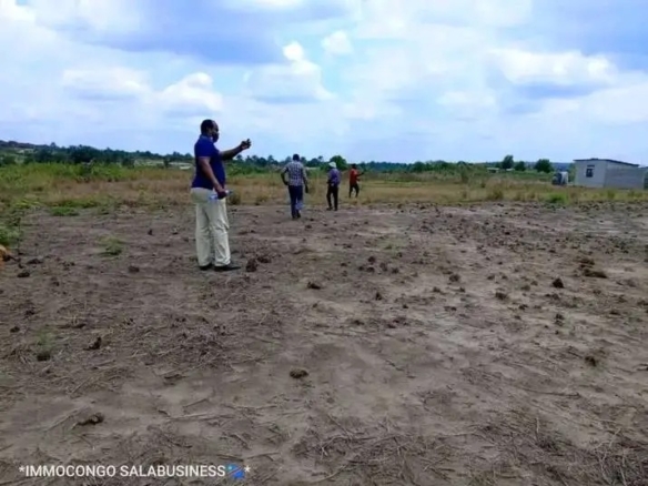 Parcelle-terrain à vendre – n’sele, kinshasa
