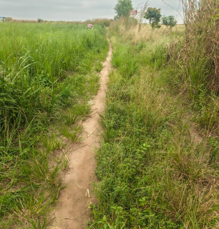 Parcelle-Terrain à Vendre – N’Sele, Kinshasa