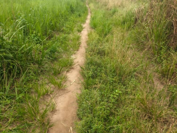 Parcelle-terrain à vendre – maluku, kinshasa