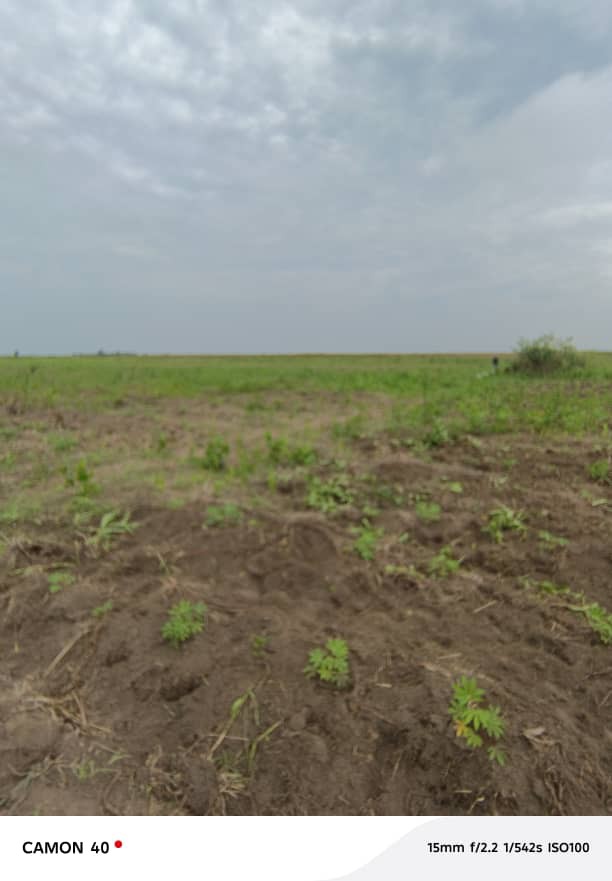 Parcelle-Terrain à Vendre – N’Sele, Kinshasa