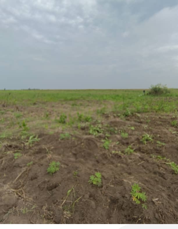Parcelle-Terrain à Vendre – Maluku, Kinshasa