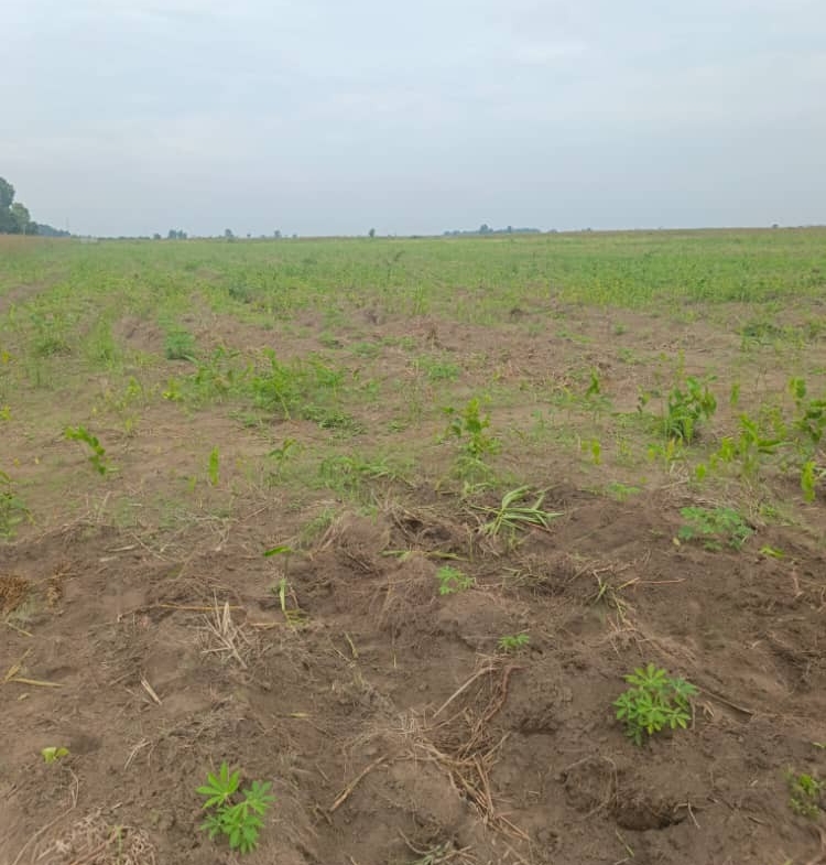 Parcelle-Terrain à Vendre – Maluku, Kinshasa