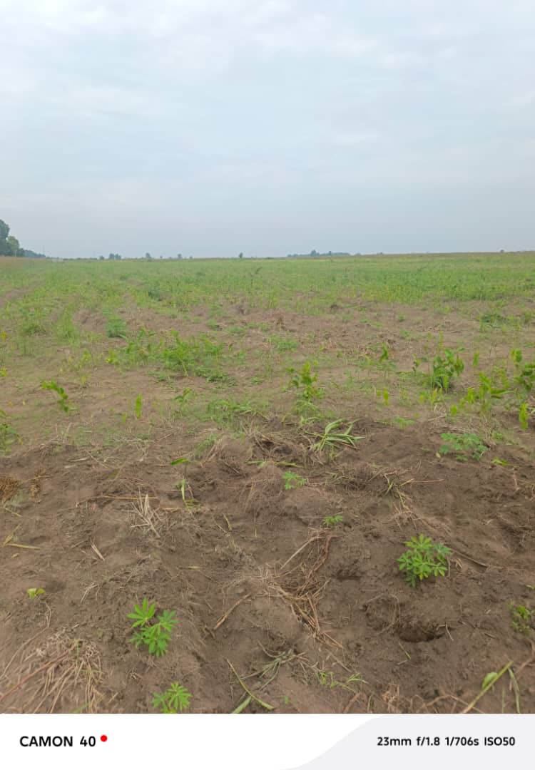 Parcelle-Terrain à Vendre – Maluku, Kinshasa