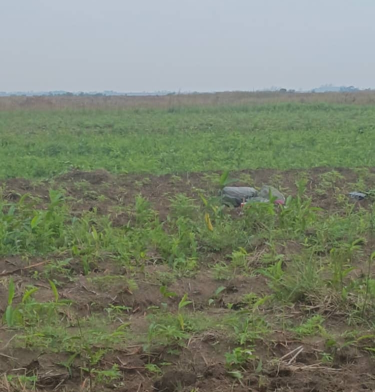 Parcelle-Terrain à Vendre – Maluku, Kinshasa